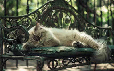 15 Cutest Cat Breeds in the Philippines That Will Melt Your Heart