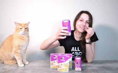 7 Benefits of Whiskas Cat Food You Can Get in The Philippines