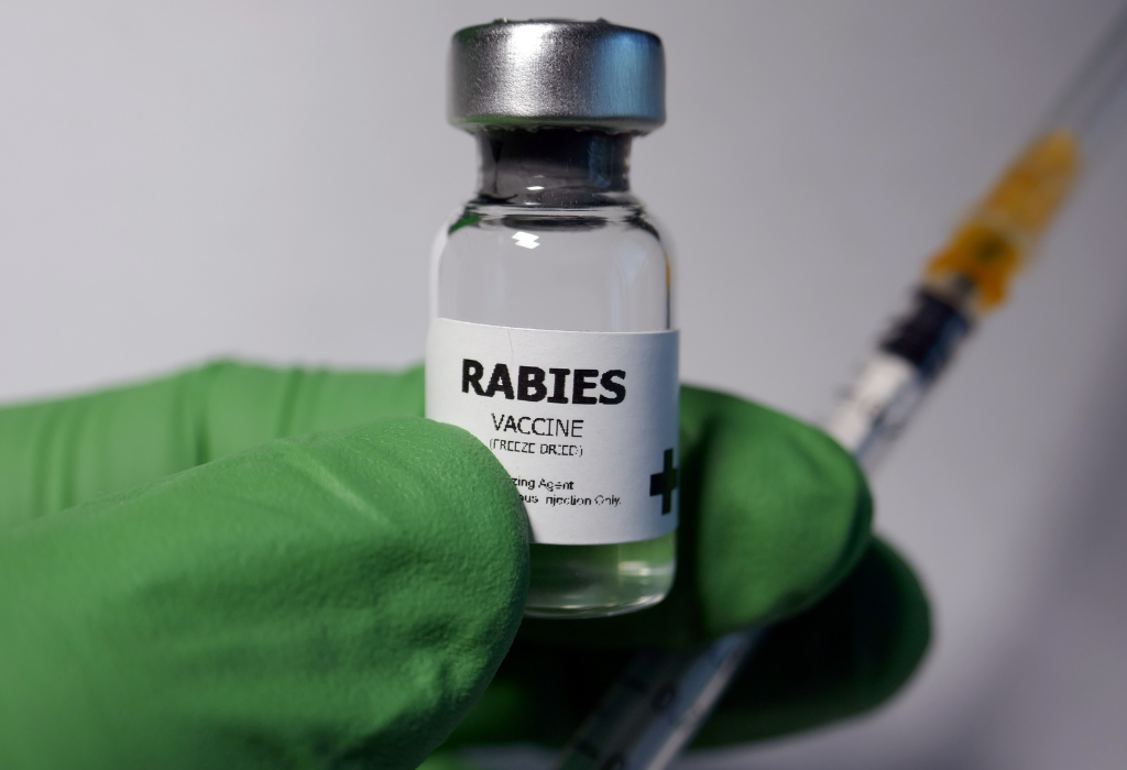 Catniphaven - Rabies Vaccine for Cats - how to know if a cat has rabies